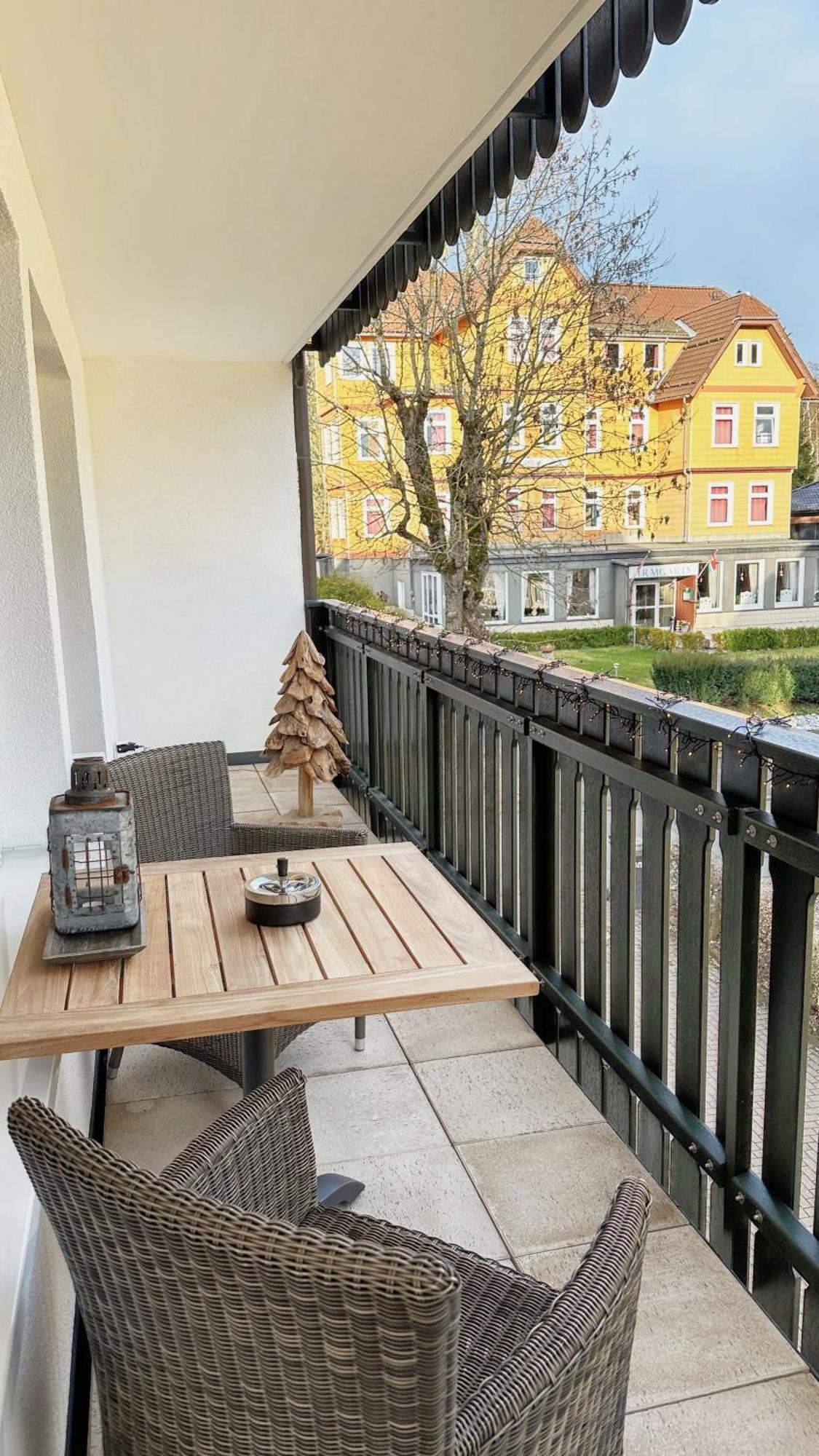 Apartment Loft Mit Sauna Braunlage